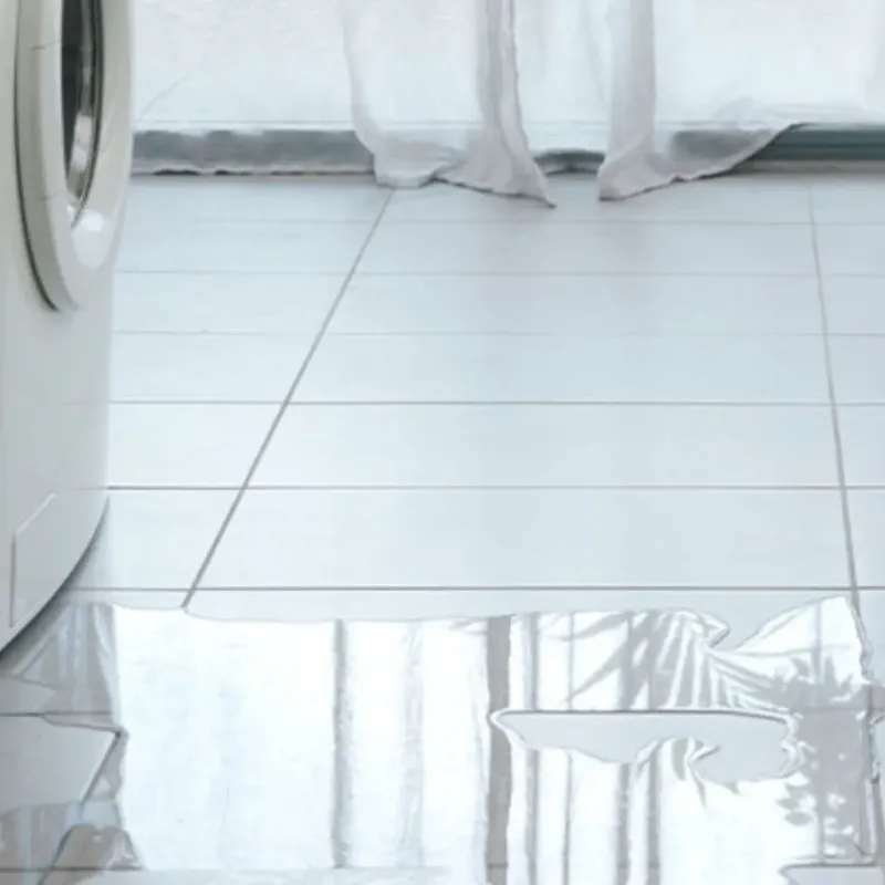 Appliance Leak Cleanup in Bottineau, ND