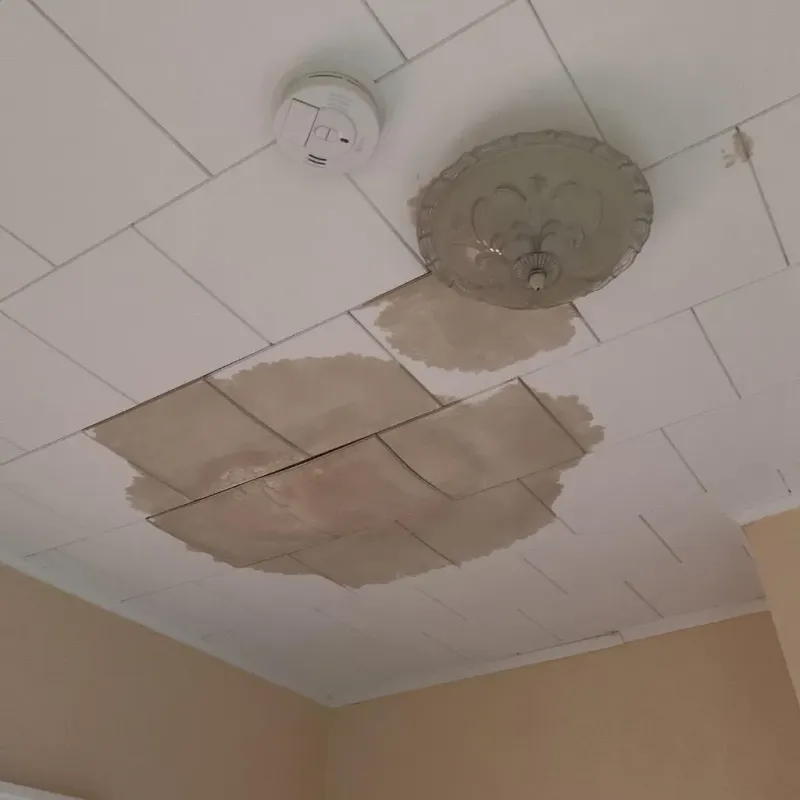 Ceiling Water Damage Repair in Bottineau, ND