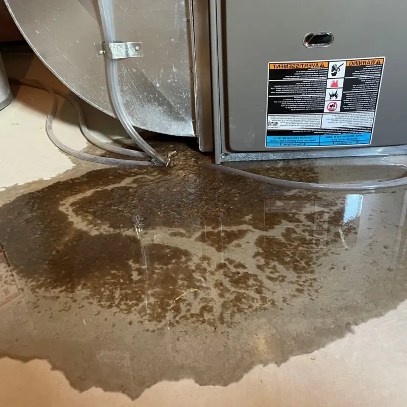 Pipe Burst and Leak Restoration in Bottineau, ND