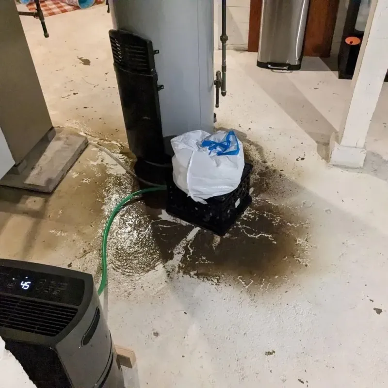 Sewage Backup Cleanup Service in Bottineau, ND